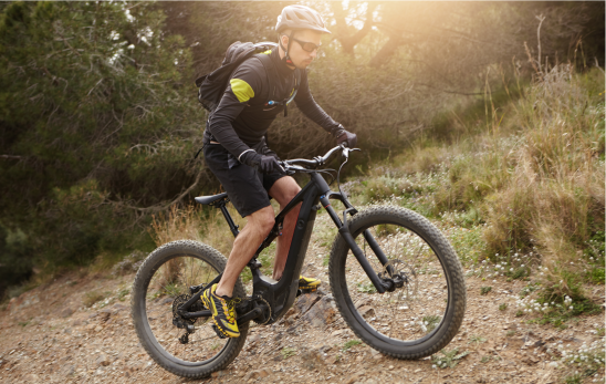 Met deze elektrische mountainbike beklim je met gemak elke heuvel op de Veluwe