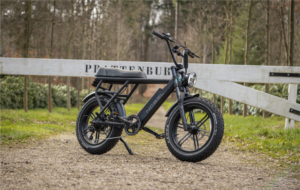 Ga met de fatbike GTS Nobel voor plezier en avontuur op de Veluwe. 